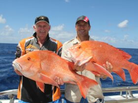 Men with red fish