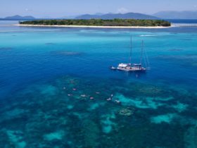 Ocean Free – Sail to Green Island & the Great Barrier Reef