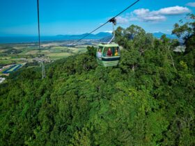 Skyrail gondola over rainforest with 3 people and blue sky