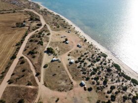 Drone view of coastal bush campground. Dirt access roads. Blue ocean to horizon.