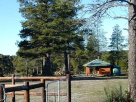 Ponderosa hut and stables