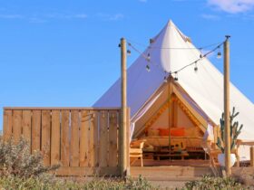Bell tent at Salty Sands Retreat