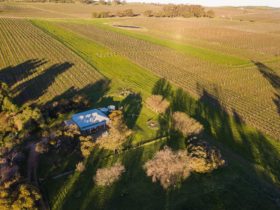 Tumbleweed Cottage Watervale Clare Valley Aerial View