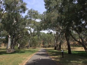 Shared Path in Dead Mans Pass