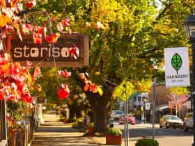 Footpath running alongside Hahndorf main street with signage, trees and autumn vines