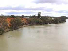 The view from Kingston-on-Murray Bridge.