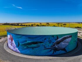 Minlacowie Water Tank Mural