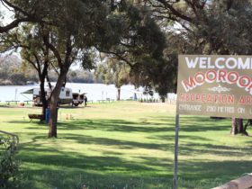 The reserve is in the heart of Moorook, right on the banks of the River Murray.