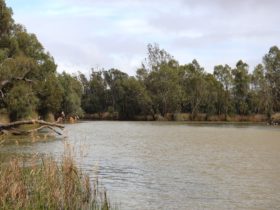 The Reserve is popular spot for camping and river activities.