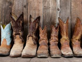 Line up of cowboy boots. Ready to bootscoot at Hill River Clare Estate's Hoedown