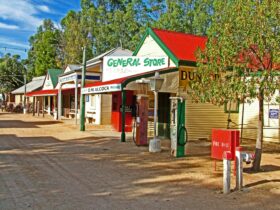 See Loxton' General Store, hairdresser,Saddlery, Chapel, Institute, printers, school room and museum