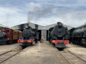 RailFest 2024 locos