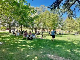People on the lawns at Sevenhill