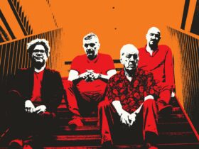 orange and red image of the band The Animals