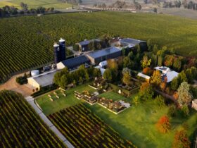 Aerial picture of winery on 155 Pfeiffer road, Woodside