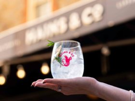 Gin lovers ahoy!