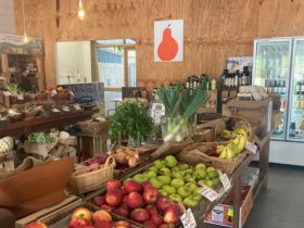 fruit and vegetables in stalls inside a shop
