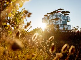 The d'Arenberg Cube in Autumn
