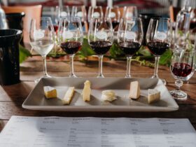 Wine & Cheese Pairing to celebrate the launch of the Monkey Nut Tree Merlot