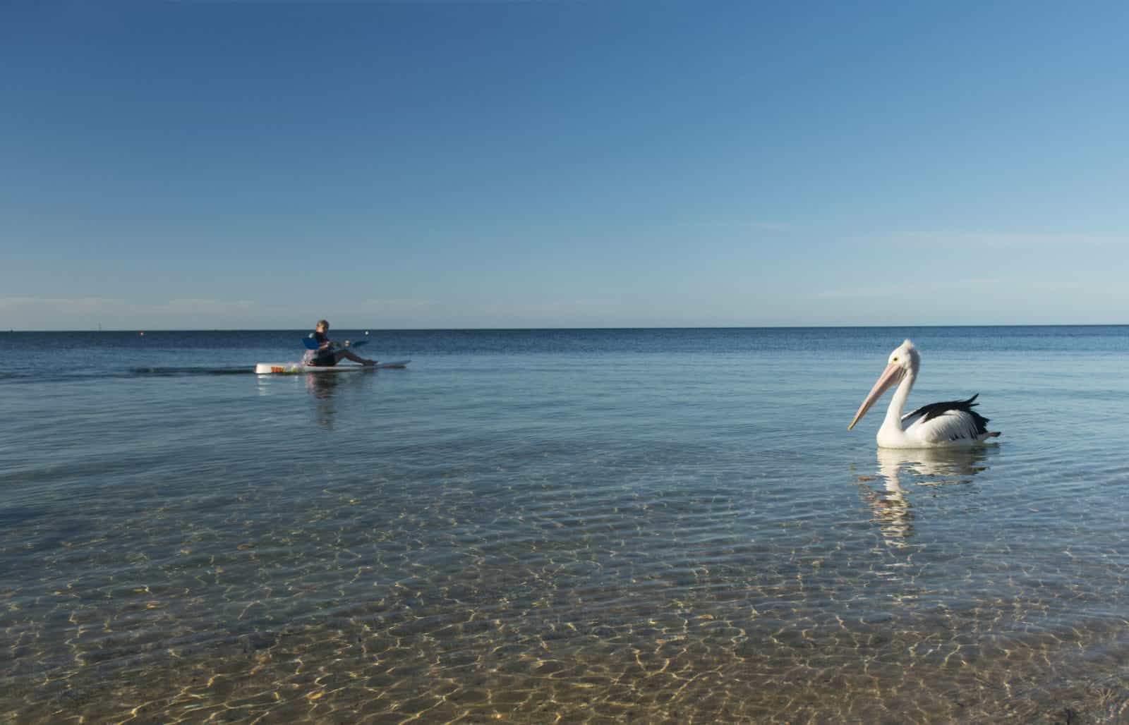 North Beach, Wallaroo, Yorke Peninsula, South Australia