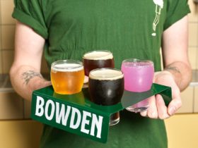 a green tray of 4 beers, dark, red, pale and purple
