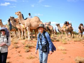Camel Treks Australia Safaris in Outback Australia