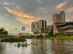 Earth Adventure - Adelaide City Kayak Tour