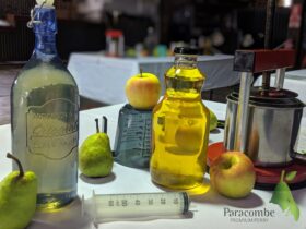 Paracombe Premium Perry blending experience
