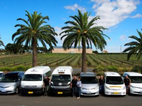 Based in the beautiful world reknown Barossa Valley. All your transport needs in one location. TAXI