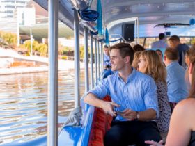 Torrens River Sightseeing Cruise on The Popeye