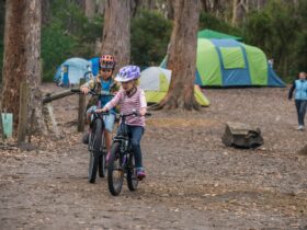 Fortescue Bay Camping