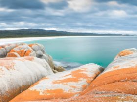Bay of Fires Photography and Souvenirs