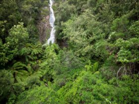 Montezuma Falls - Great Short Walk