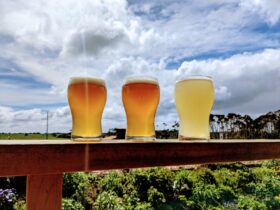Three beer on the rail of a deck at King Island Brewhouse