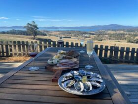 Outdoor table with wine glasses, oysters and a platter. View of farmland and sea beyond.