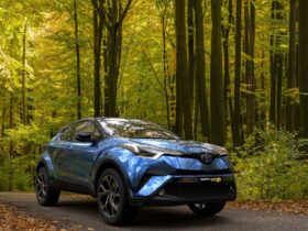 Toyota CHR in a Green Forest