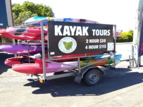 Double and single kayaks
