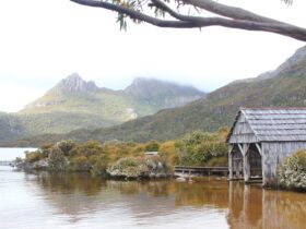 Cradle Lake on Tasmania Wilderness Explorer tours with Spirit Safaris