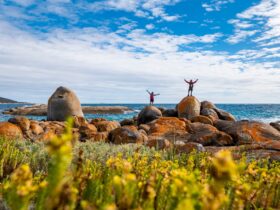 Flinders Island Walking Adventure In Comfort