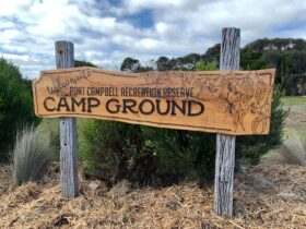 Wooden camp ground sign at Port Campbell Recreation Reserve