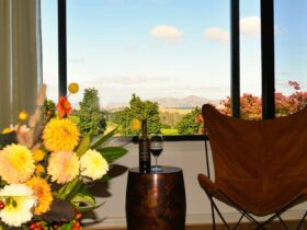 The Vineyard House Views