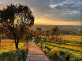 Landscape image of Bald Hill. The steps are visiable and the image is taken at sunrise.