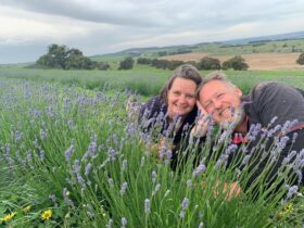 Owners frolicking in the Lavender