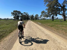 Cyclist on Gravel Road, grass, gum trees, farmland, blue sky