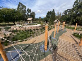Mansfield Botanic Park Adventure Playground