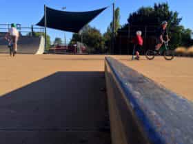 Skate Park kids