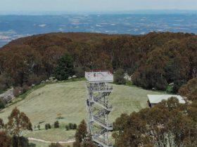 Mt Donna Buang Lookout Tower