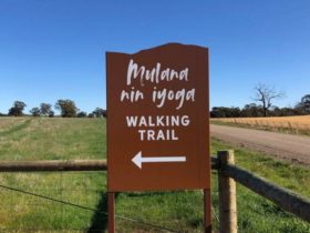 Mulana nin iyoga walking trail sign at trail head