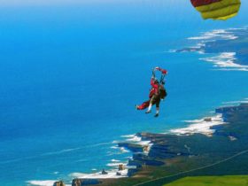 The true Great Ocean Road skydive experience