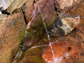 Water from the mineral spring flows from a pipe that comes out of a stone retaining wall